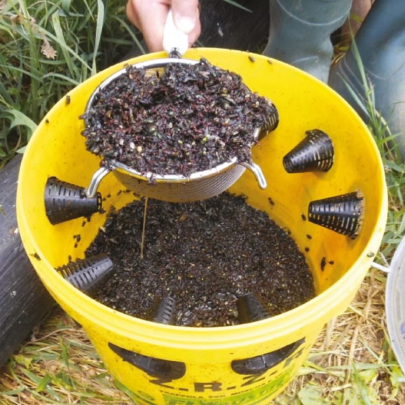 Flybuster vliegen systeem Vliegenval 6 liter excl. lokaas