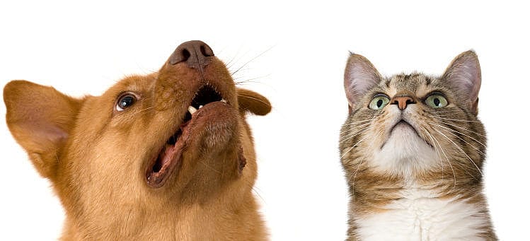 e558c11e04f7539eb98566d102f56c51