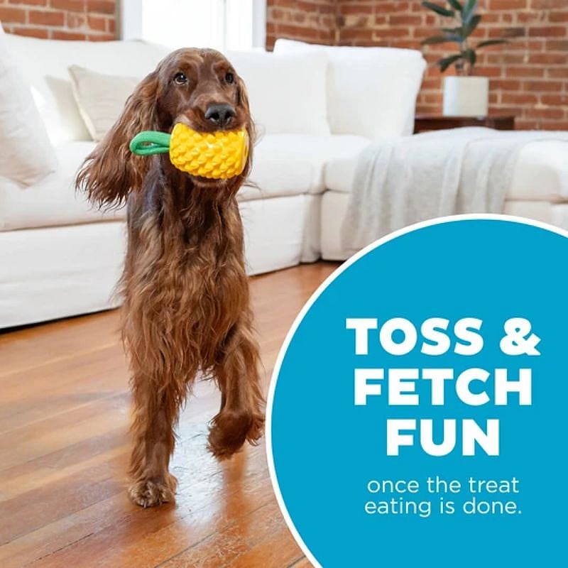 Outward Dental Pineapple Hond