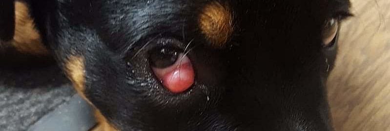 d1fbc146451e3b59f62fea7e58ced6b7