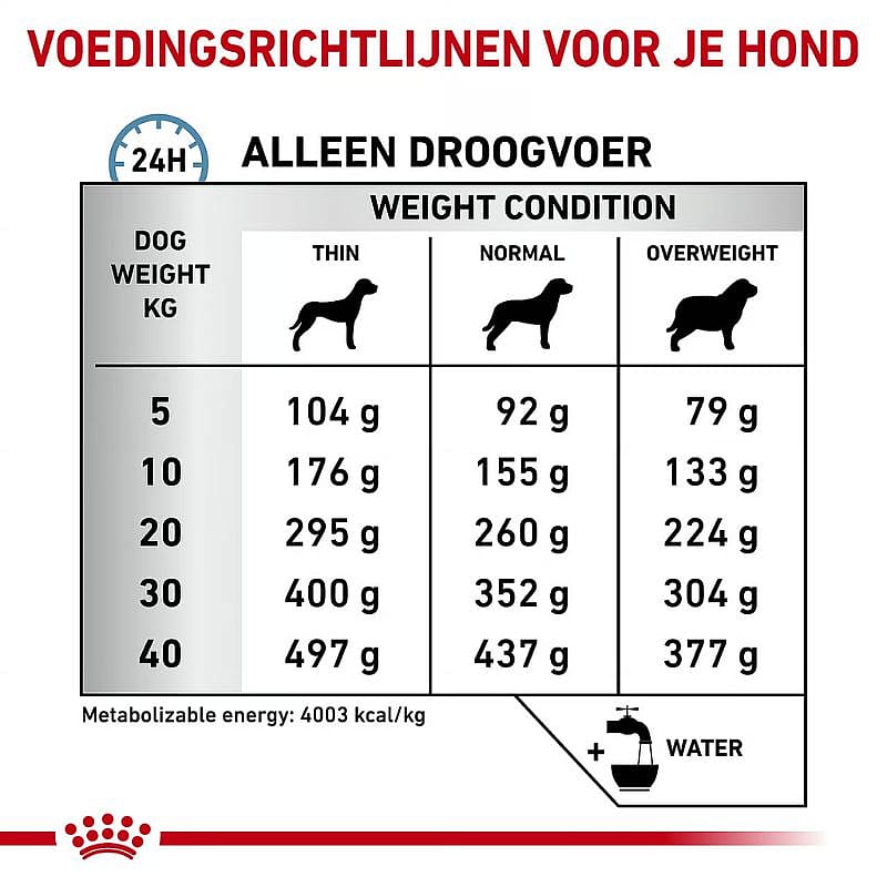 Royal Canin Anallergenic Hond