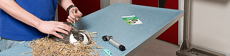 941e0a7f7de2d06735eb63266dc08200