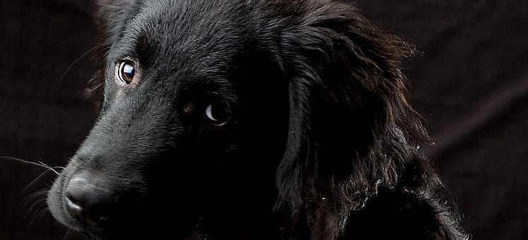 f9f4377d69b691b56c30c16c7a076bef