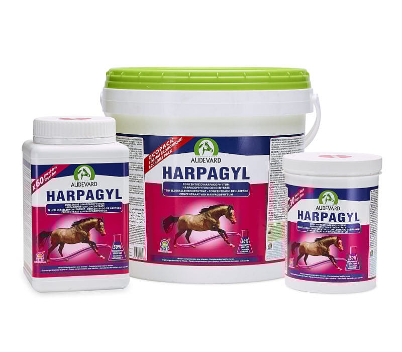 Audevard Harpagyl Spier Bot Paard
