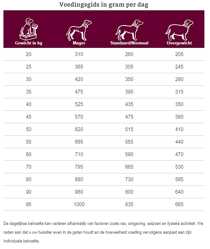 Specific CXD-XL Adult Large en Giant Breed