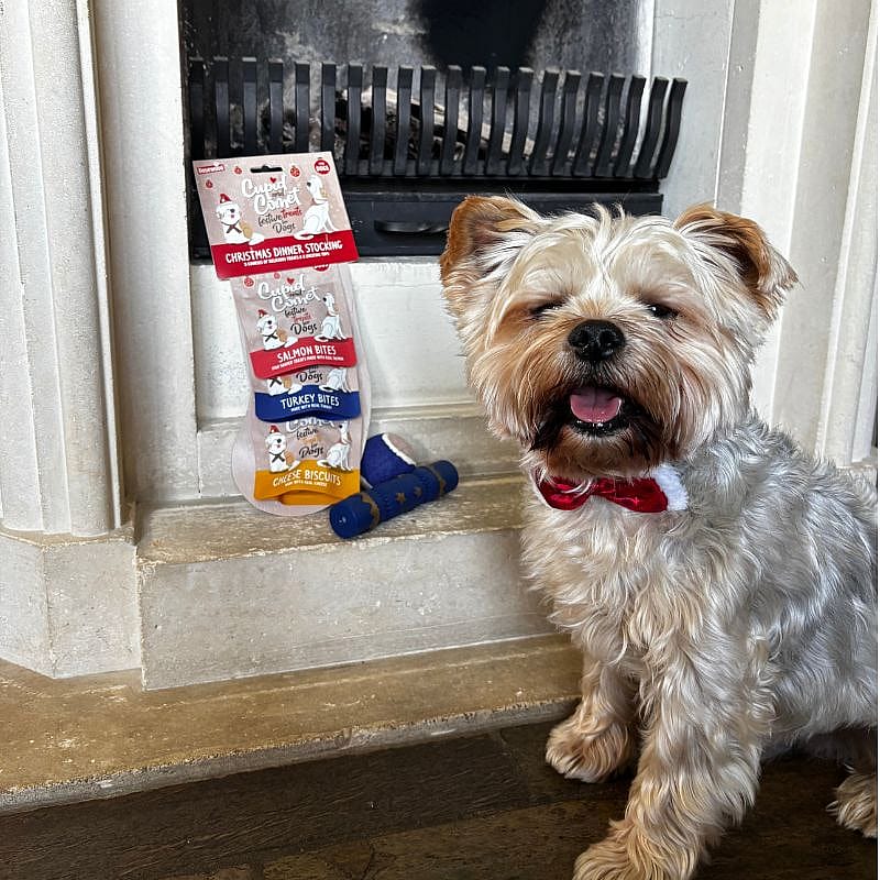 Cupid & Comet Kerstdiner Kerstsok Hond