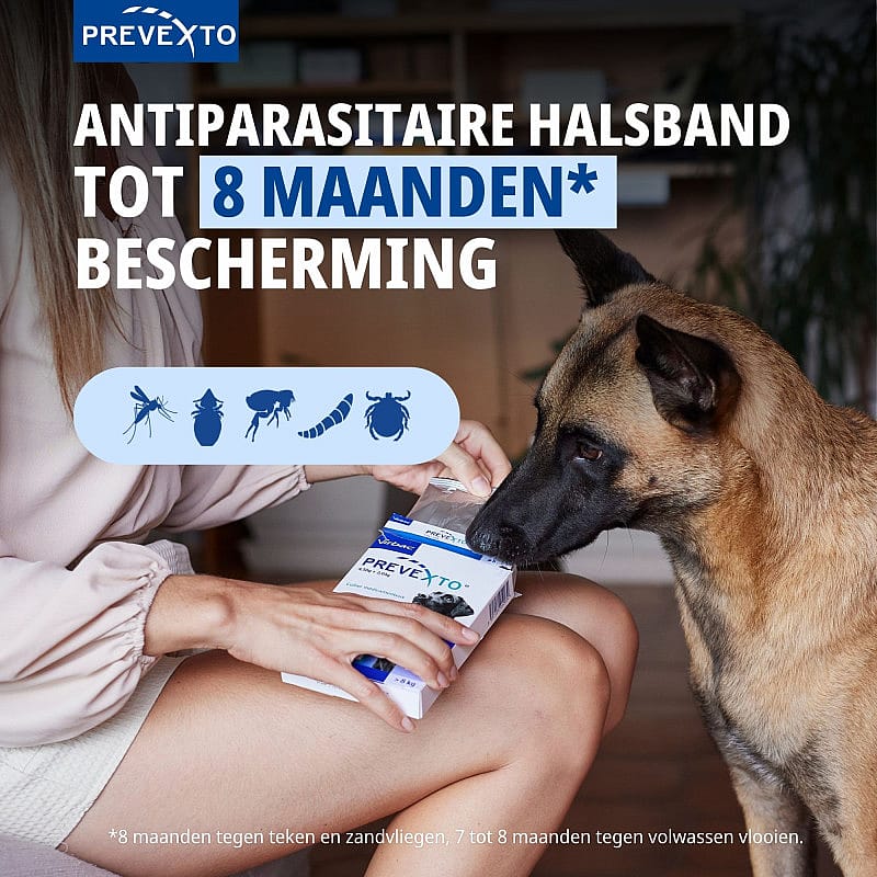 antiparasitic, collar, protection, dog, parasites