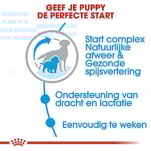 Royal Canin Starter Medium Hond