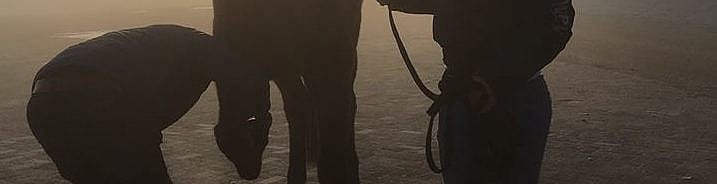 4c9b5fa1154ac1ea2d437060de38b469