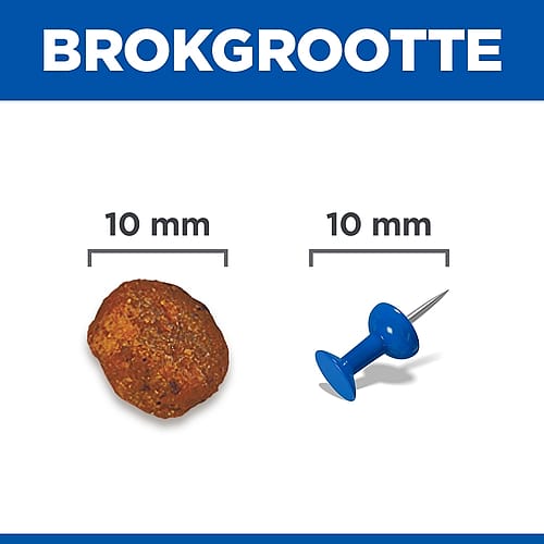 knop, nagel, kogel, 8, maat 10 mm