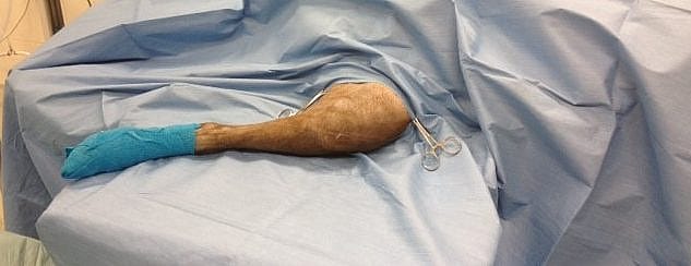 c816723f1a9f5513d7d263589c333f13