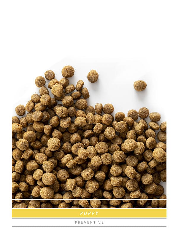 Sanimed Puppy Voeding: Gezonde Groei & Immuunsysteem - Puppyvoer Alle Rassen