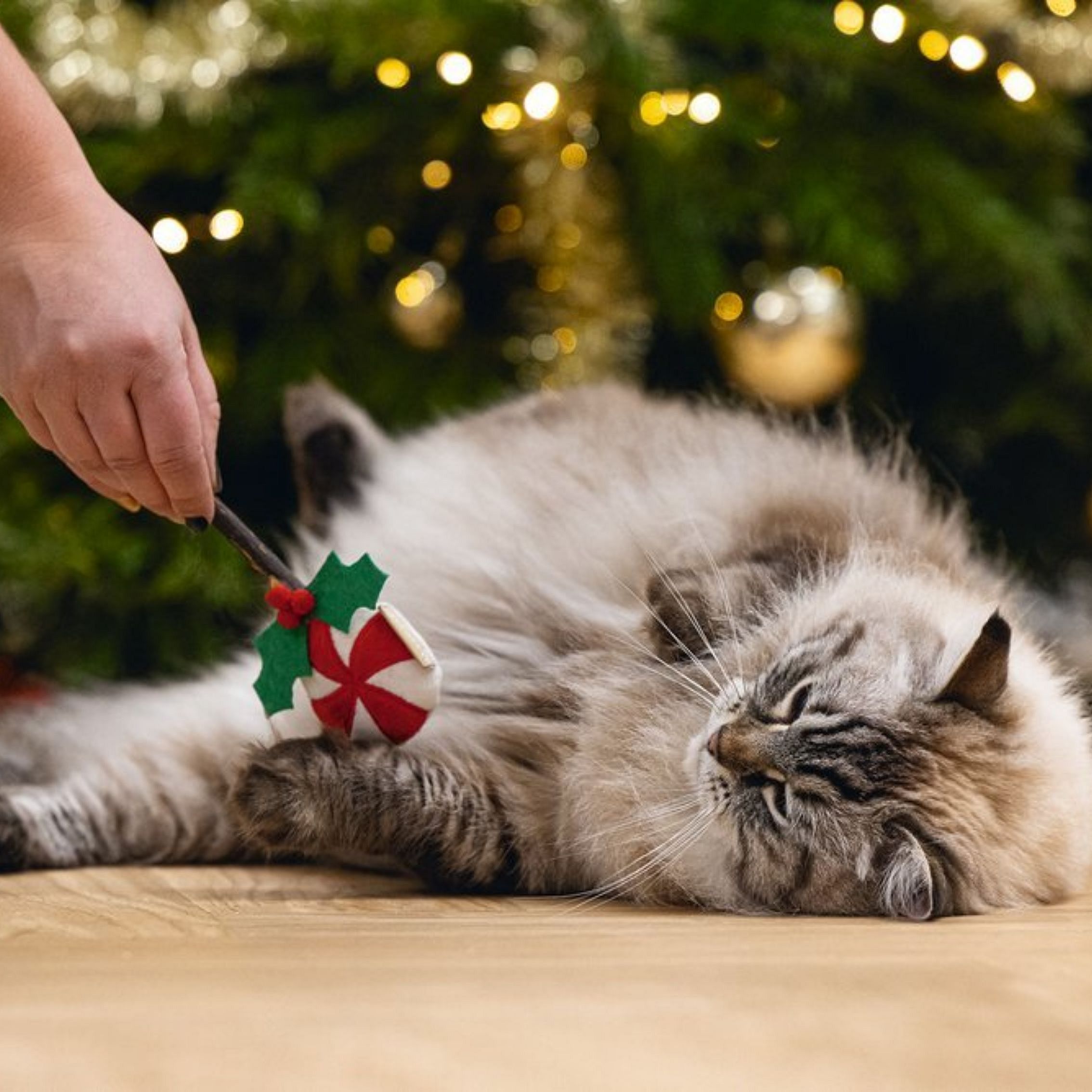 Beeztees Plush Matatabi Kerst Lolly Kat