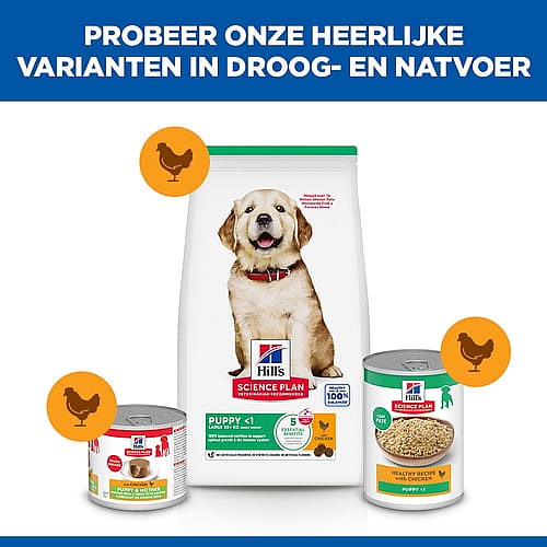 dog food, puppy, dry food, can, bag