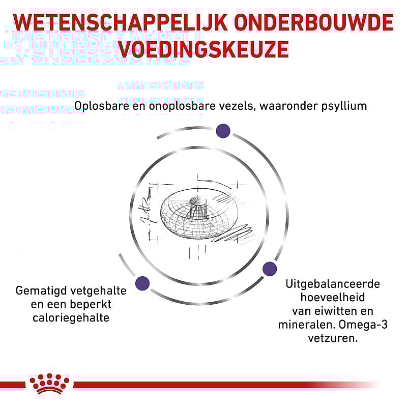 Royal Canin Neutered Adult Large Dog