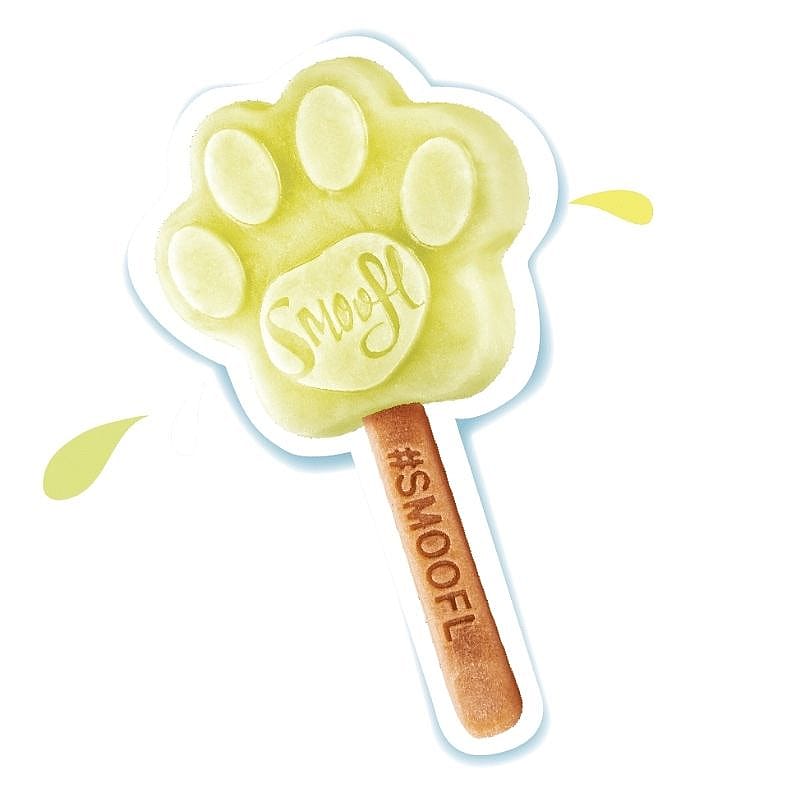 Smoofl Honden IJsmix 160 gram Appel