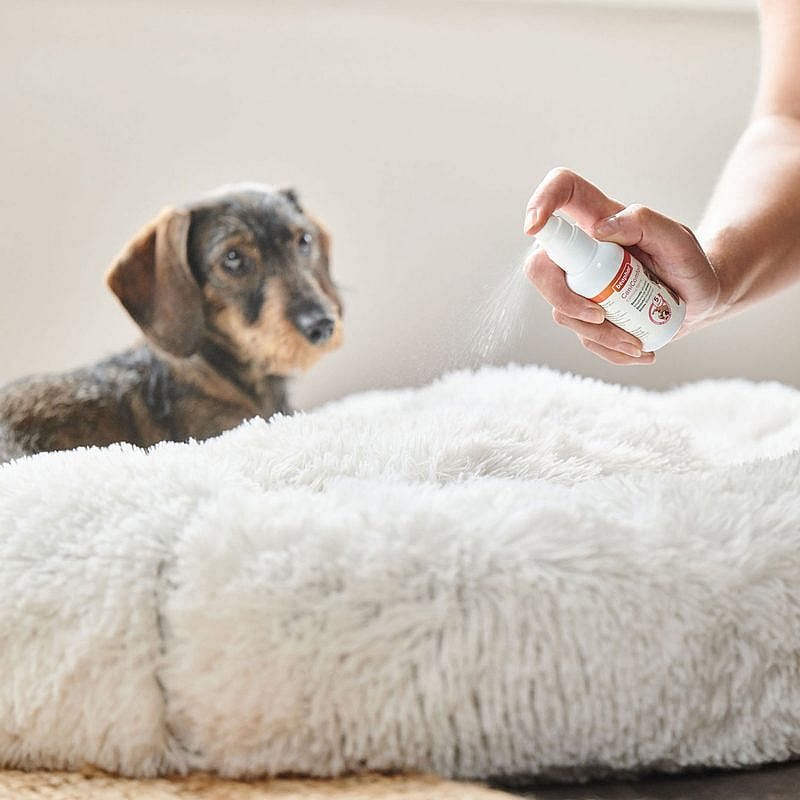 Beaphar CaniComfort Spray 60 ml