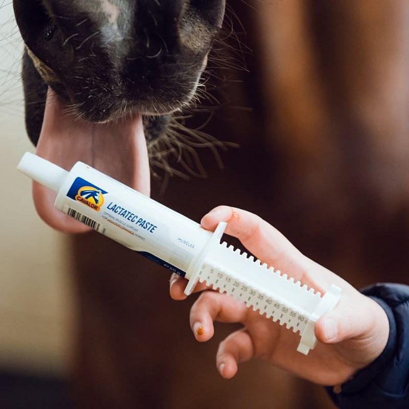 Cavalor Lactatec Pasta 60 gram