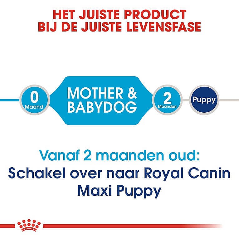 Royal Canin Starter Maxi Hond 15 kg