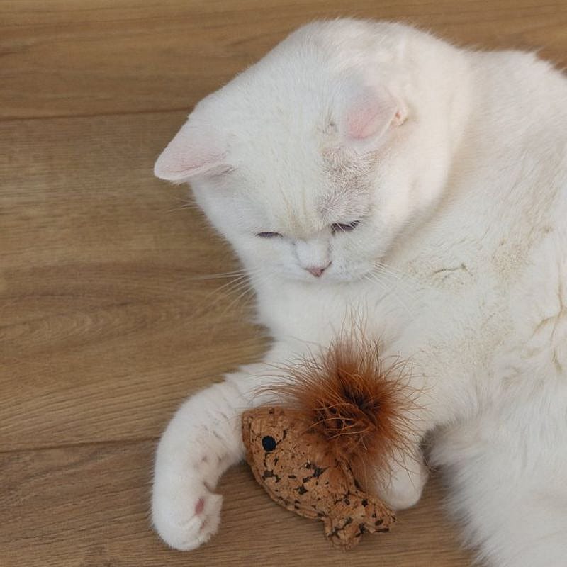 Beeztees Catnip Visjes Sadie Kat