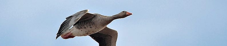 53806b7248bf0d36378e8488058dbdcc