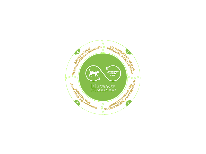 HPM Cat Urology Struvite Dissolution - Struvite Stones 3 kg