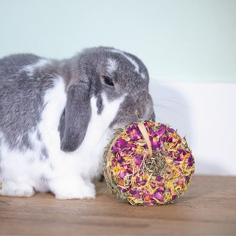 Beeztees Hooi Donut Roos En Goudsbloem Knaagdier 65 gram