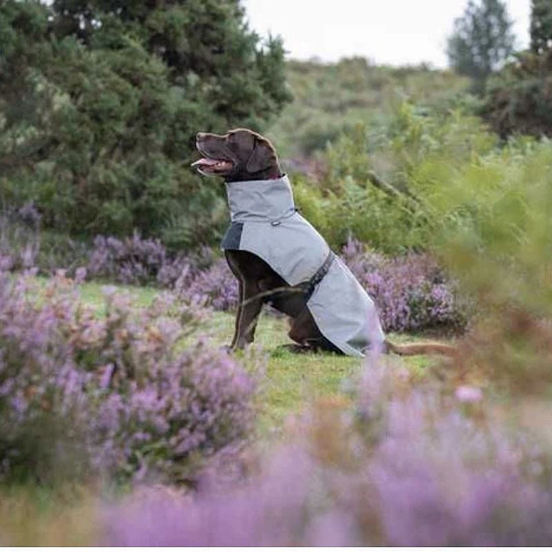 Rukka Shine Raincoat Reflecterende Regenjas Hond Maat 40