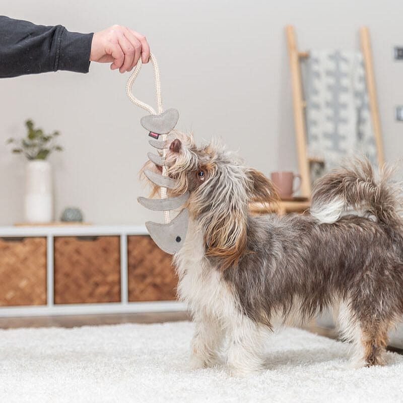 Trixie Visgraat Leer Met Touw Hond