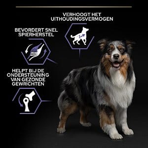 Purina Pro Plan All Sizes Adult Performance Hondenvoer 14 kg