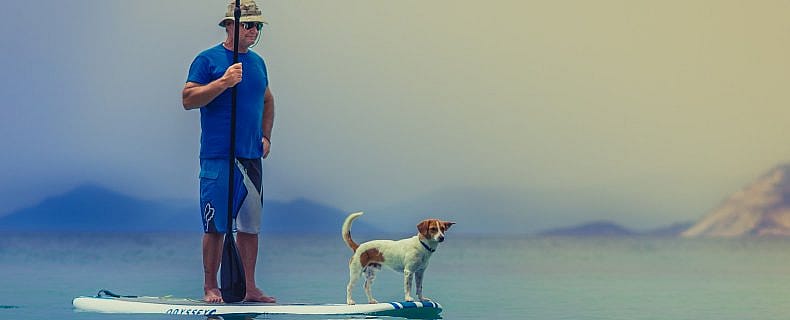 ecd77f0c9241102d580395181f9b5134