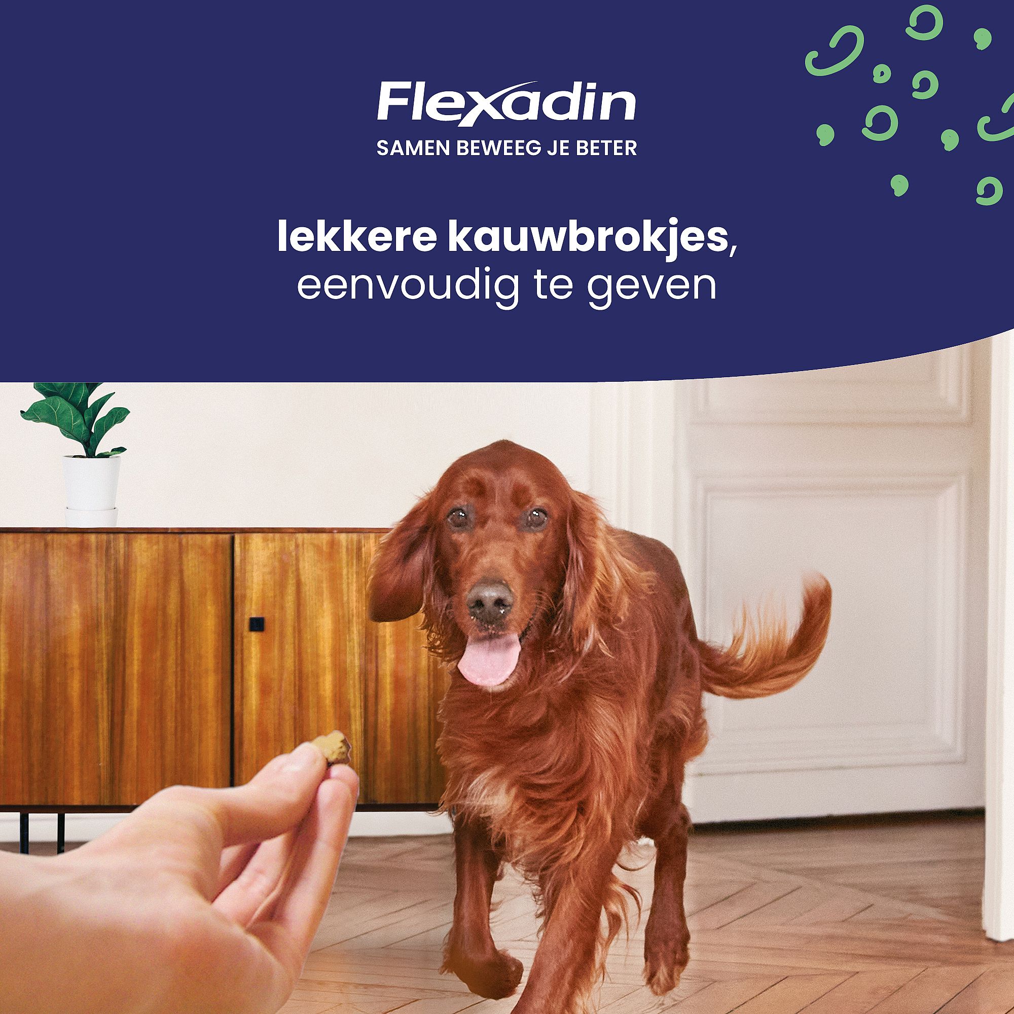 Flexadin Young Dog Maxi - 60 Kauwbrokjes