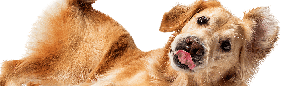 076dbbee252084f99624f956f89a9a44