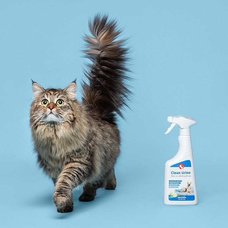Sectolin Clean Urine Sprayflacon Hond Kat 500 ml