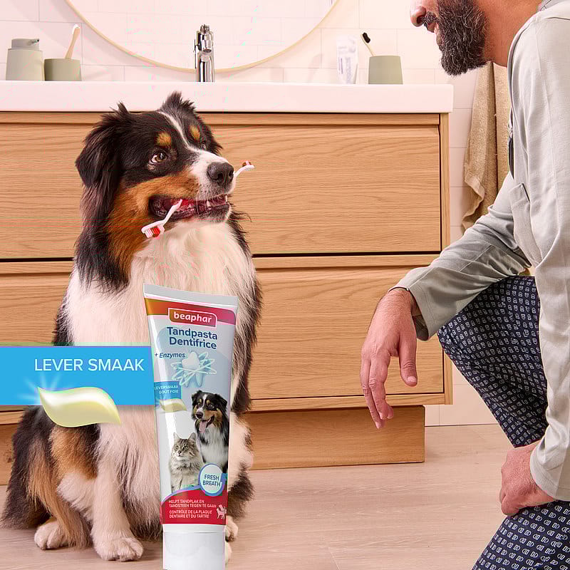Beaphar Tandpasta en Tandenborstel 1 set