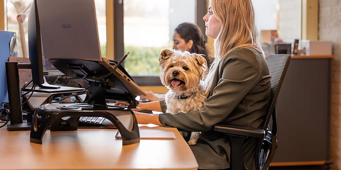 EAA-toegankelijkheid-webshop-voor-dieren