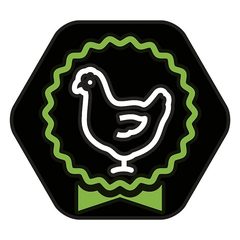 Purina Pro Plan Large Robust Puppy Healthy Start Hondenvoer 12 kg