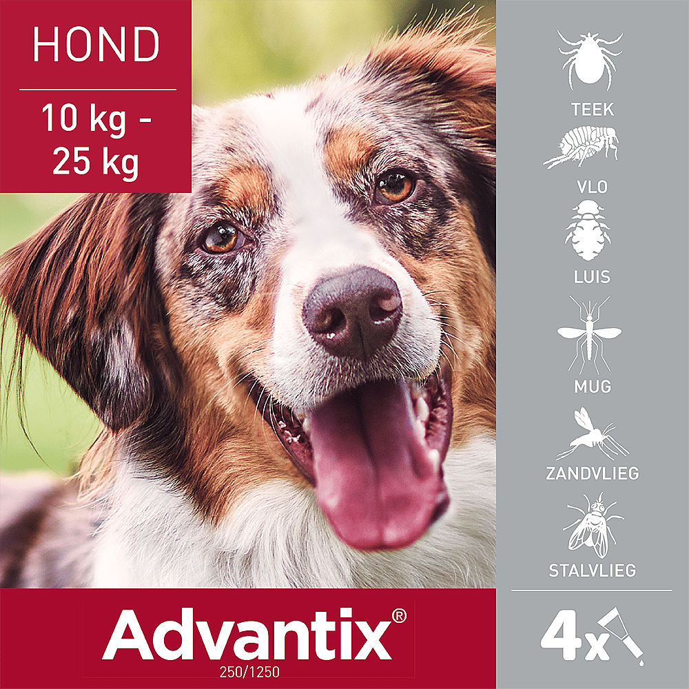 Advantix Spot-on Hond 4 pipetten - 10 - 25 kg - 250/1250