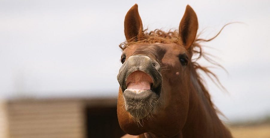 725cfd7a006d7c7285743298e1d22256