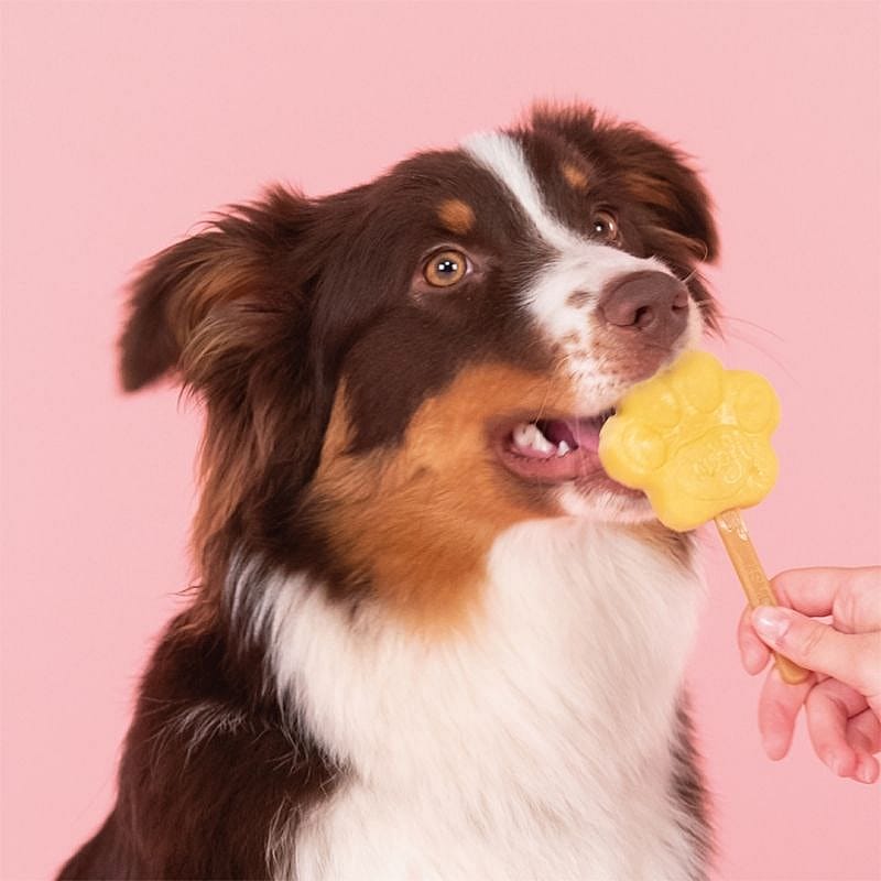 Smoofl Honden IJsmix 160 gram Appel