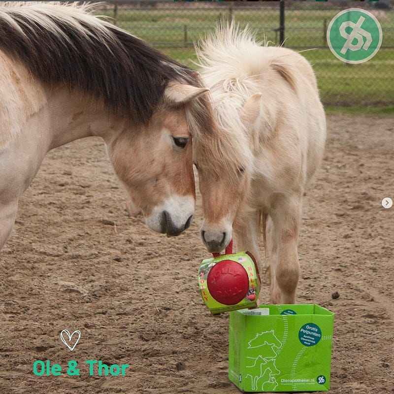 Jolly Ball 20 cm Speelbal Paard Hond Rood