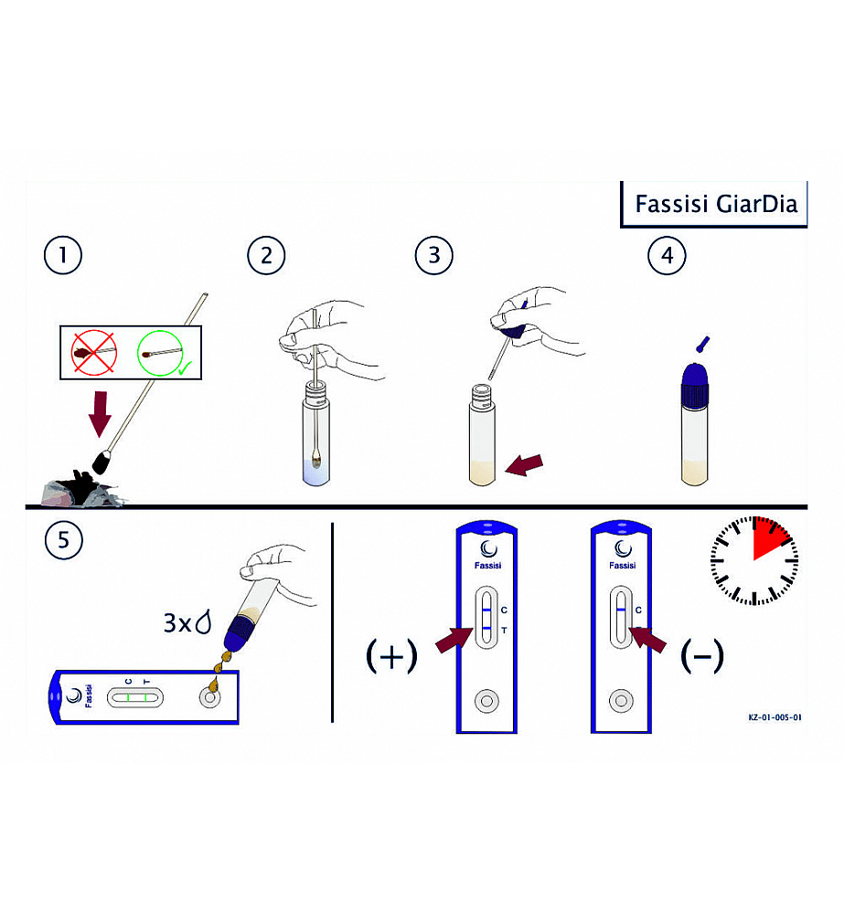 Fassisi Giardia Ontlasting Sneltest Hond Kat