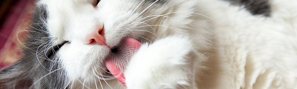 7ee3eaa1326dc68b01117024209c8b91