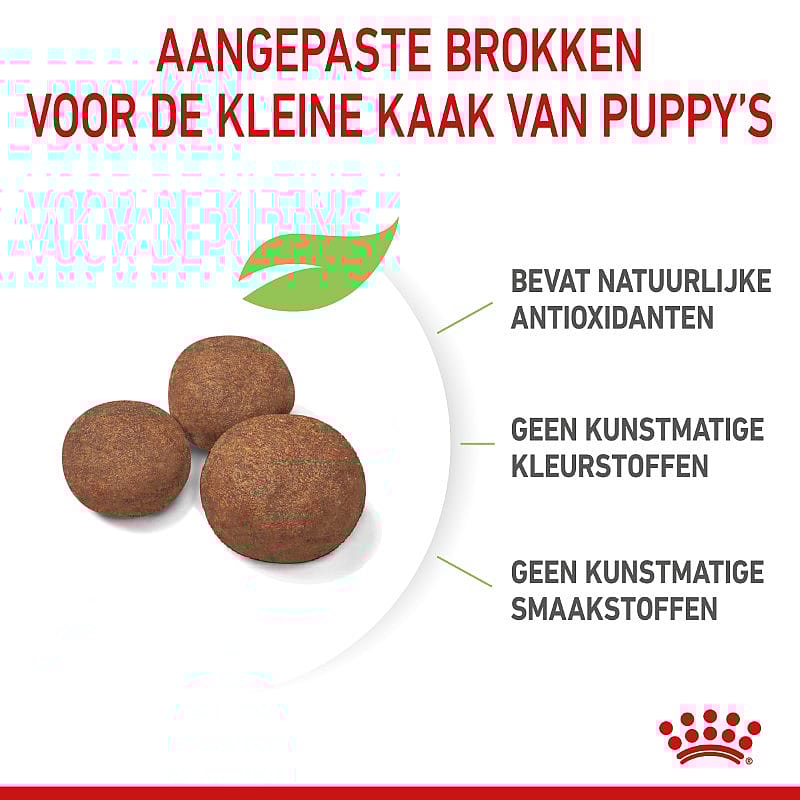 Royal Canin Puppy Medium