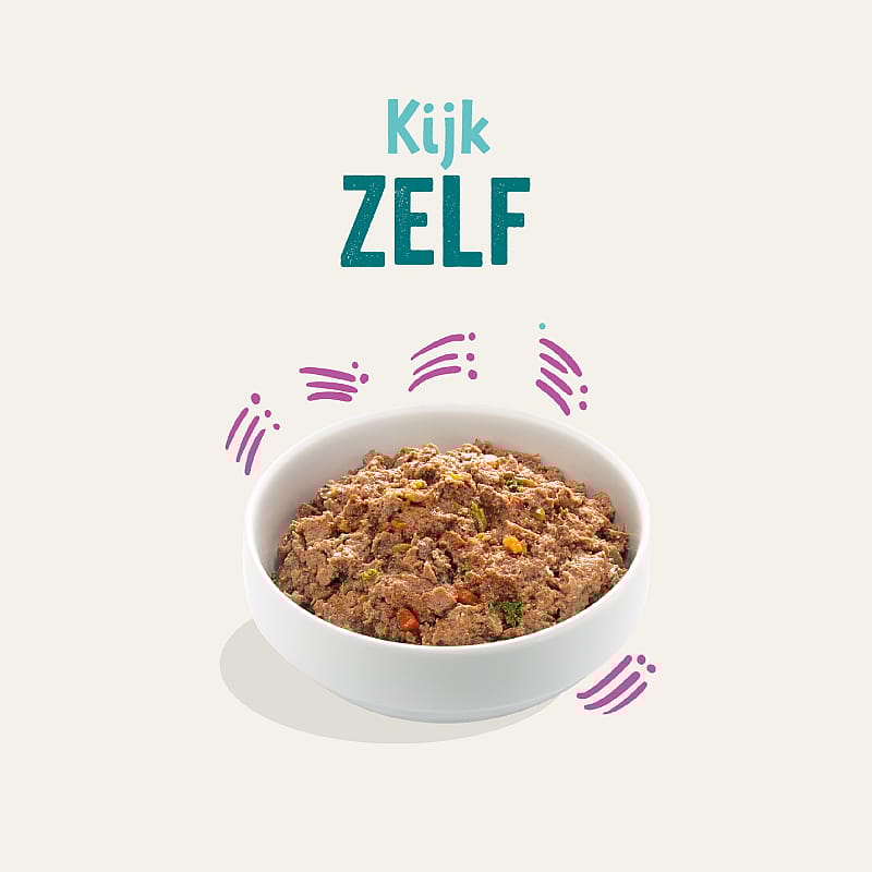 Edgard & Cooper Adult Hondenvoer Kuipjes Wild en Eend