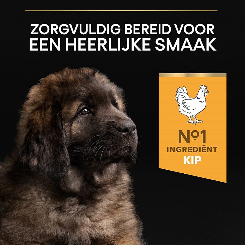 Purina Pro Plan Large Robust Puppy Healthy Start Hondenvoer 12 kg