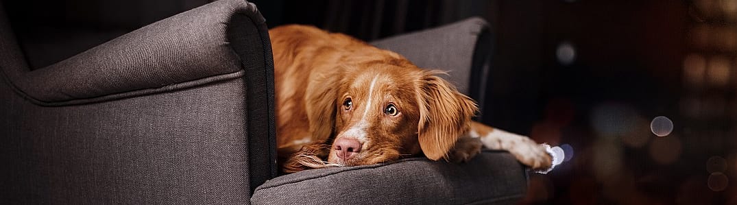 c0df98d5ec49c660122432ac471d7524