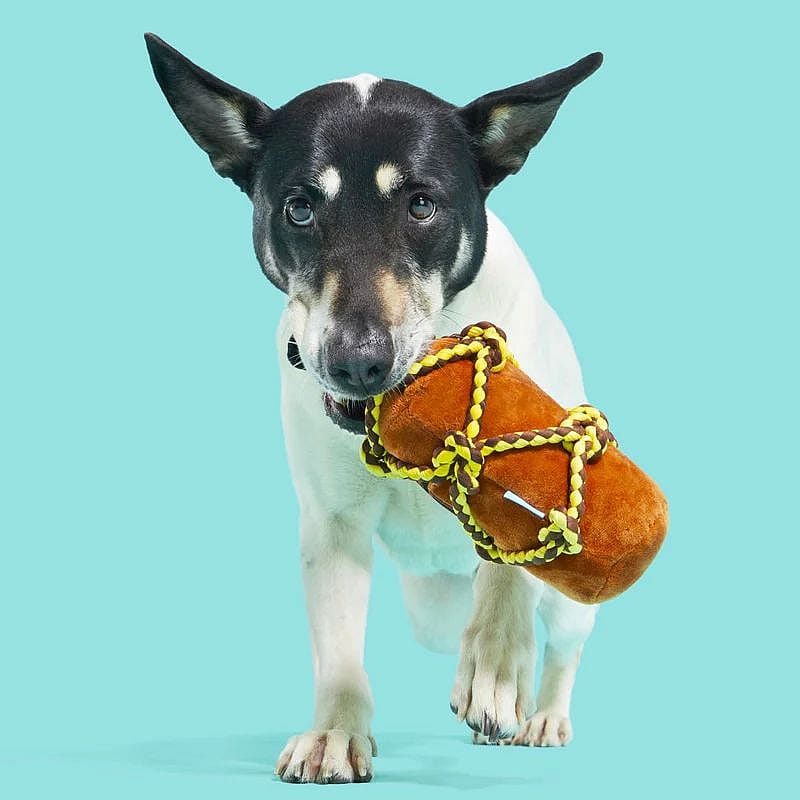 dog, toy, bone, rope toy, pet accessory