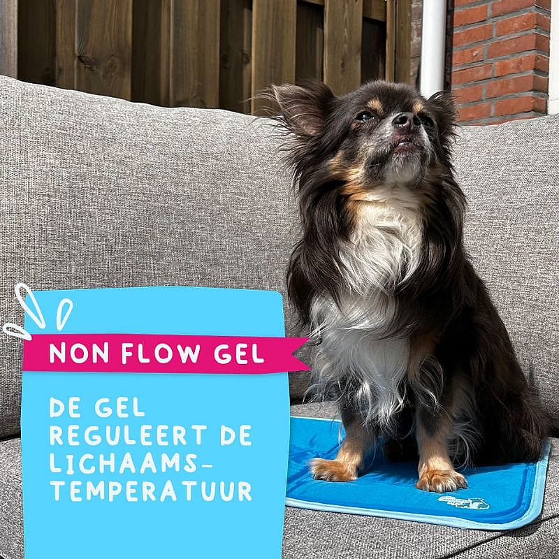 Coolpets Premium Solid Gel Cooling Mat Hond Maat Small
