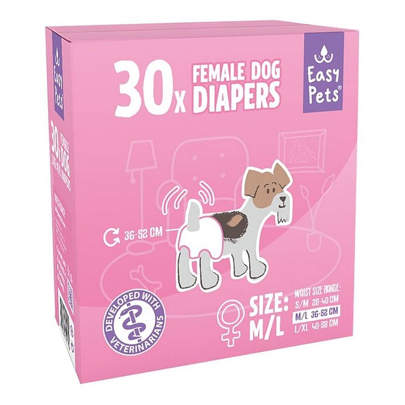 Dier, Hond, Zoogdier, Huisdier